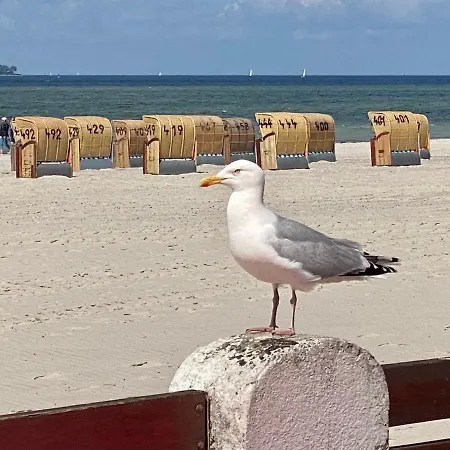 Apartment Windjammer: Pamir Laboe
